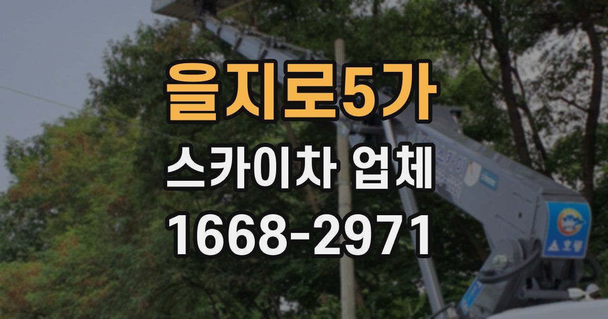 을지로5가 스카이차 업체