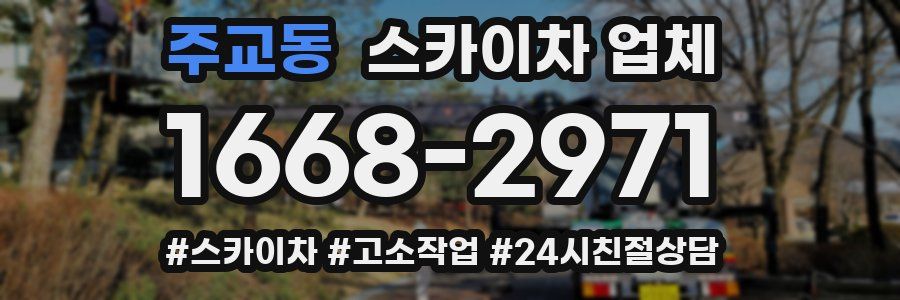 주교동 스카이차 업체