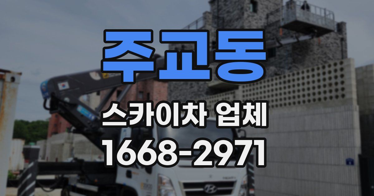 주교동 스카이차 업체