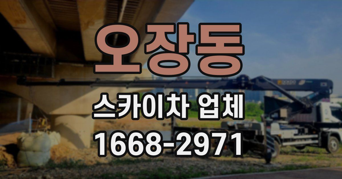 오장동 스카이차 업체