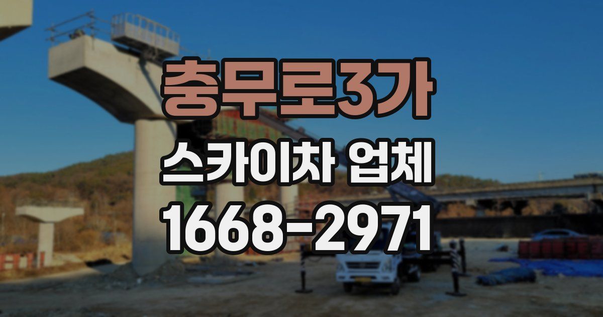 충무로3가 스카이차 업체