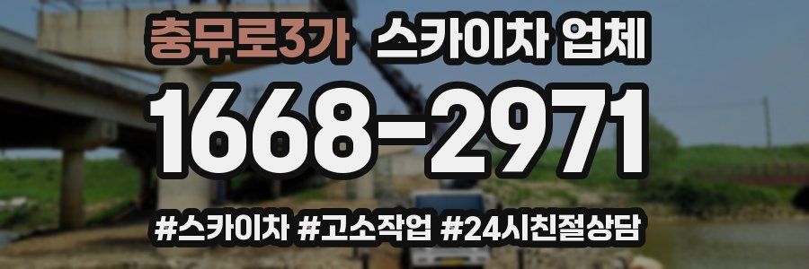 충무로3가 스카이차 업체