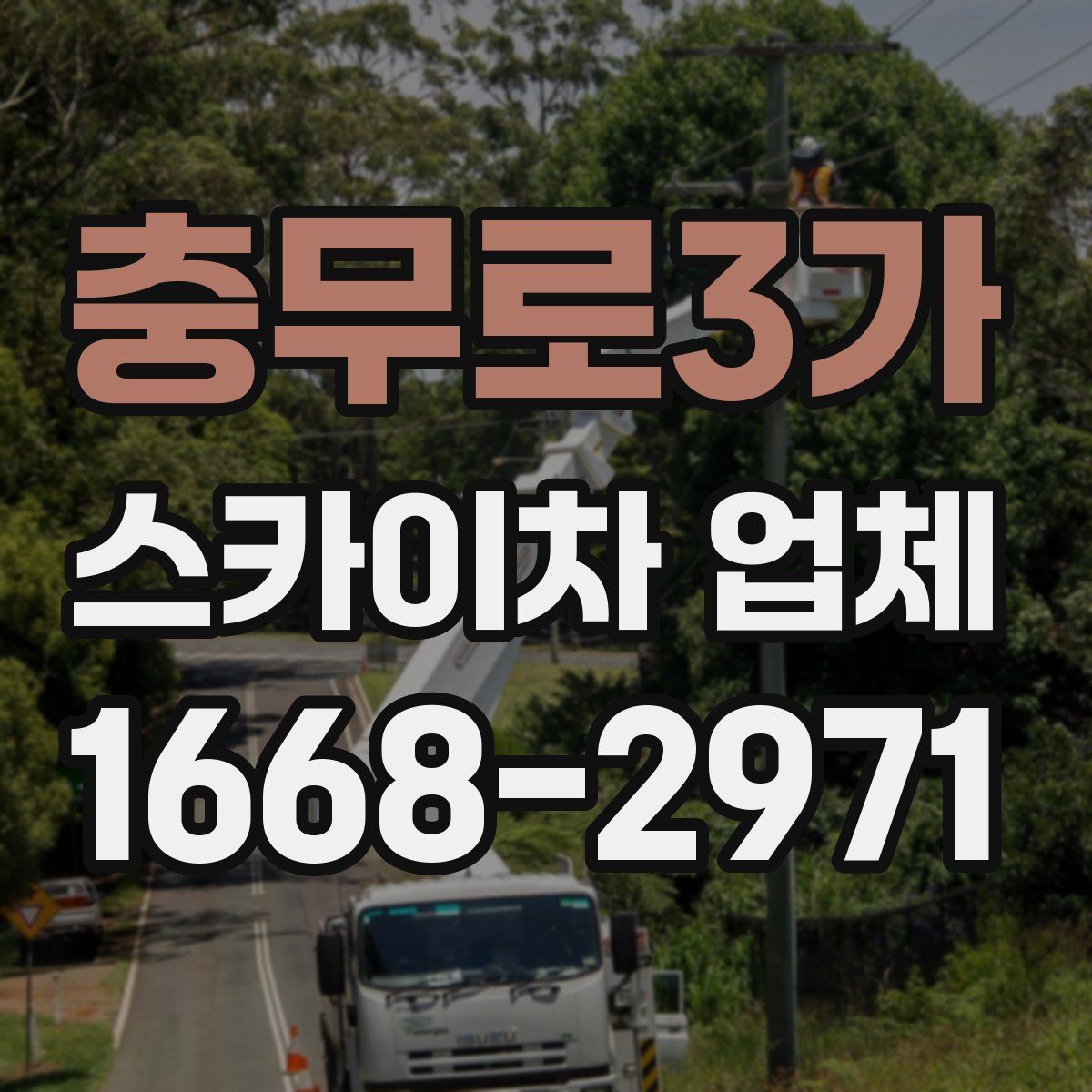 충무로3가 스카이차 업체