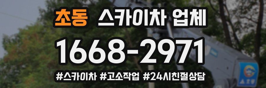 초동 스카이차 업체