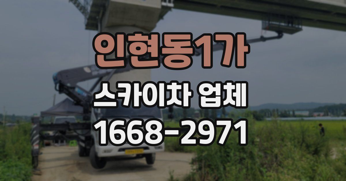인현동1가 스카이차 업체
