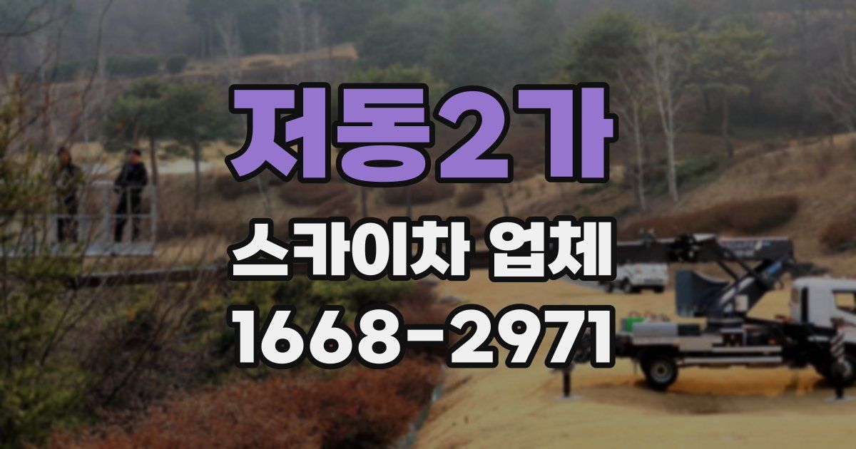 저동2가 스카이차 업체