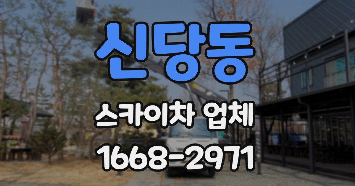 신당동 스카이차 업체