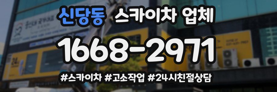 신당동 스카이차 업체