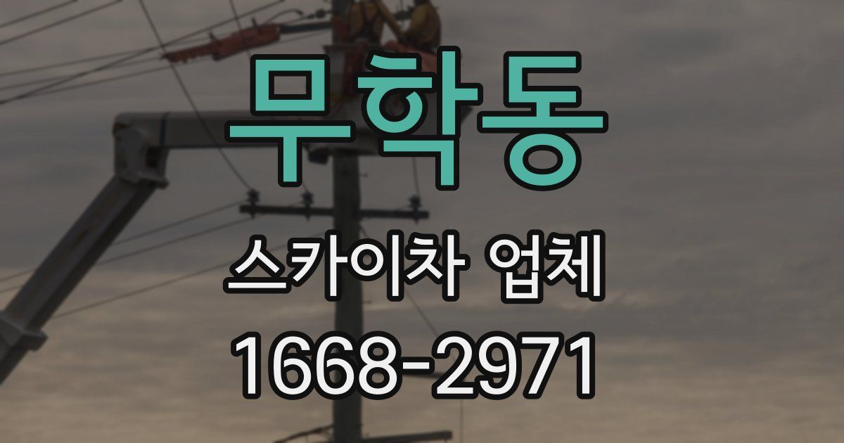무학동 스카이차 업체