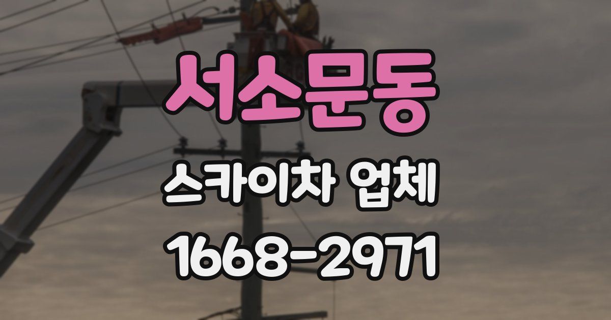 서소문동 스카이차 업체