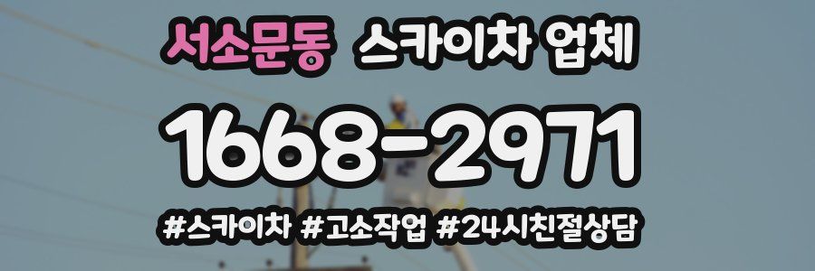 서소문동 스카이차 업체
