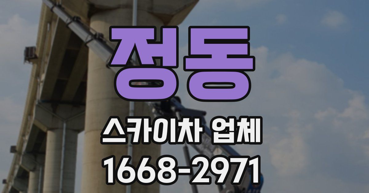 정동 스카이차 업체