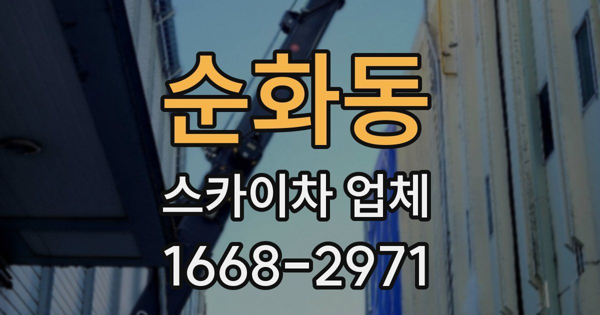 순화동 스카이차 업체