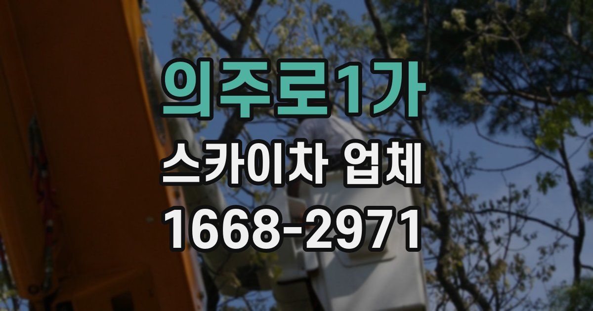 의주로1가 스카이차 업체