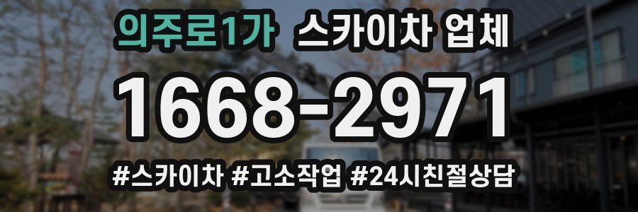 의주로1가 스카이차 업체