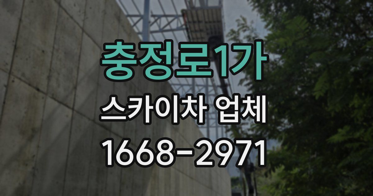 충정로1가 스카이차 업체