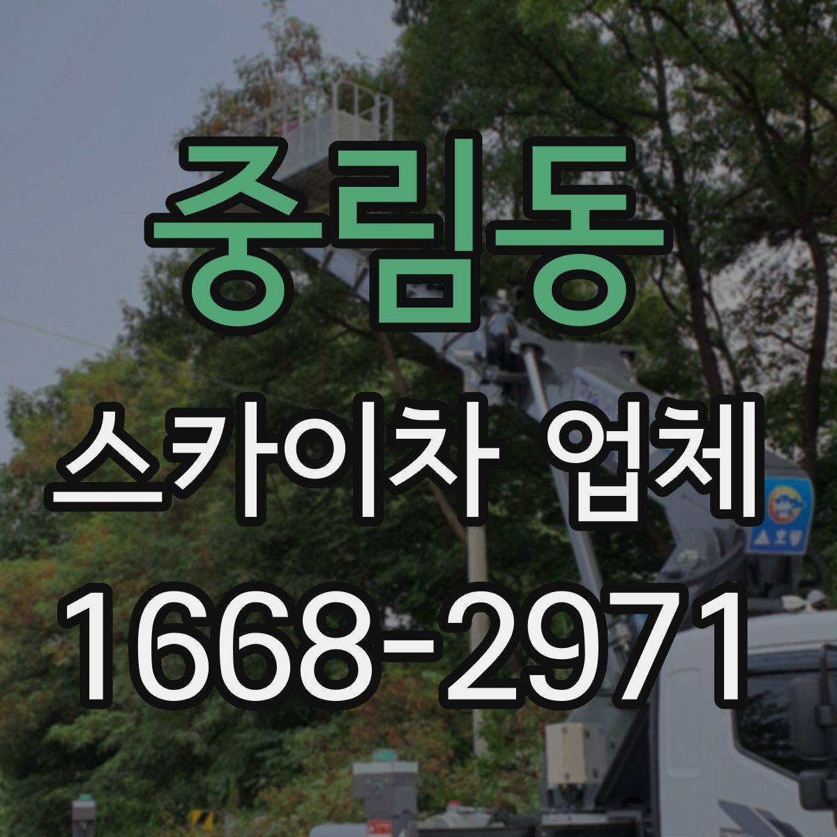 중림동 스카이차 업체