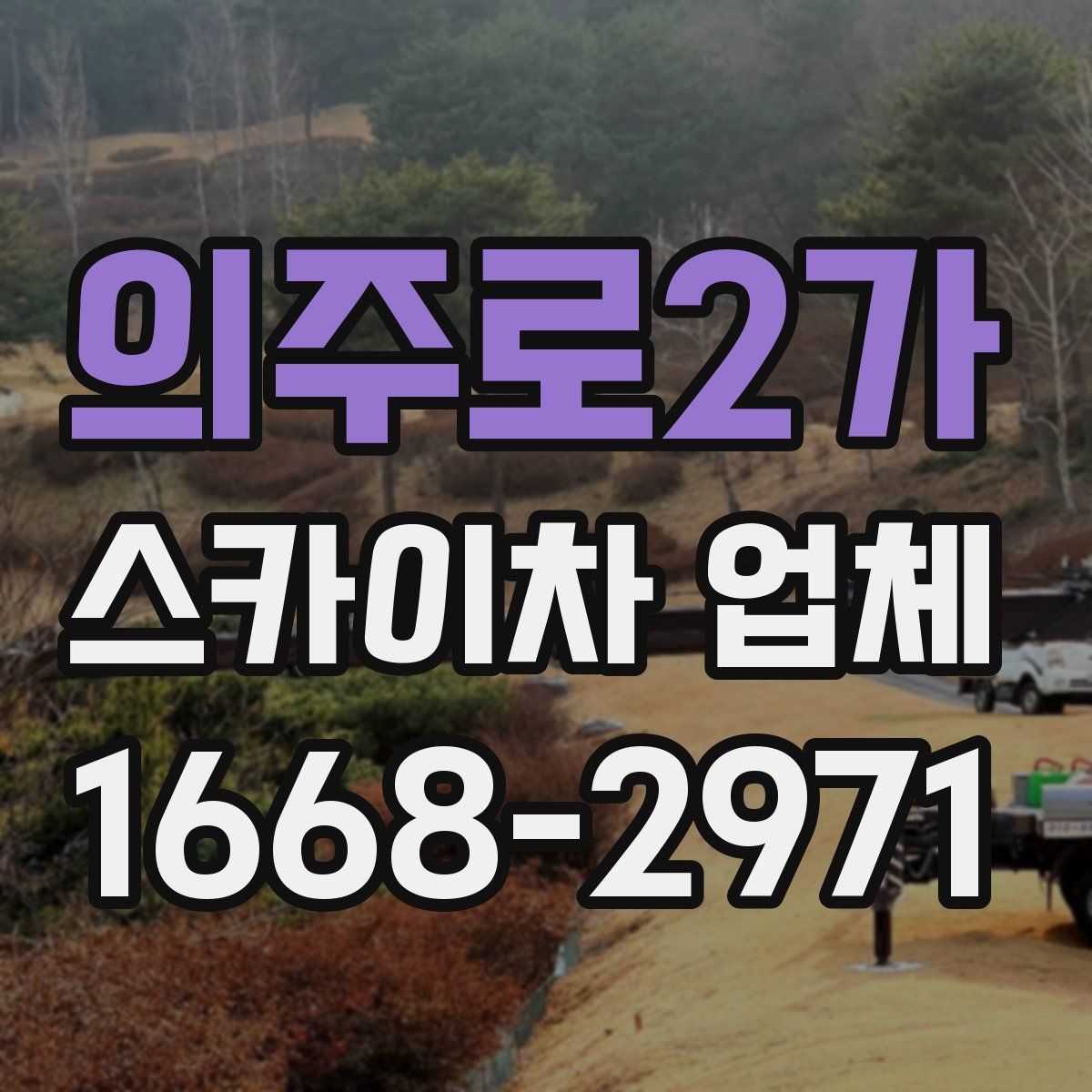 의주로2가 스카이차 업체