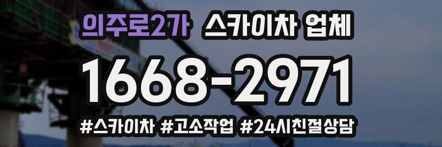 의주로2가 스카이차 업체