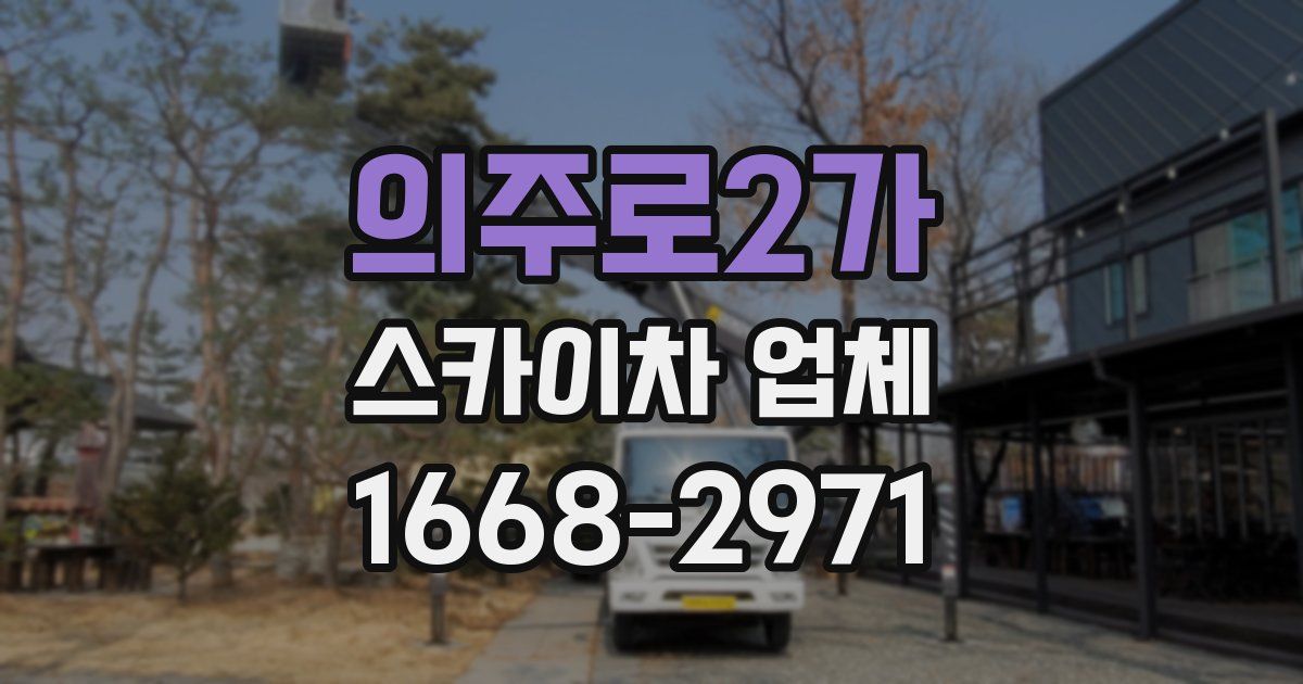 의주로2가 스카이차 업체