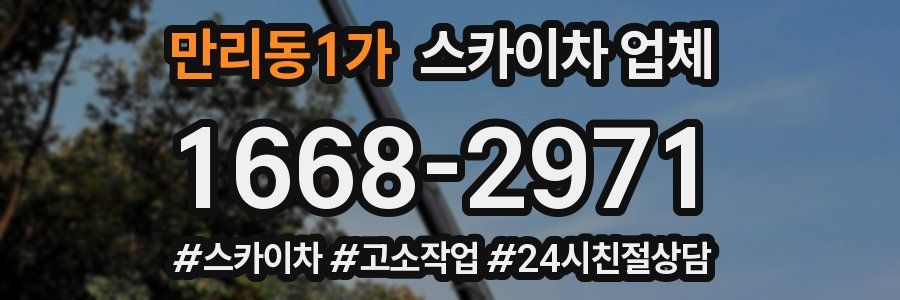 만리동1가 스카이차 업체