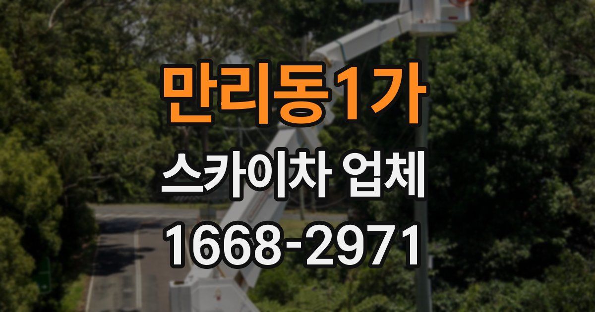 만리동1가 스카이차 업체