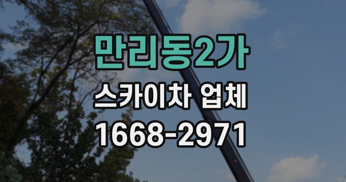 만리동2가 스카이차 업체