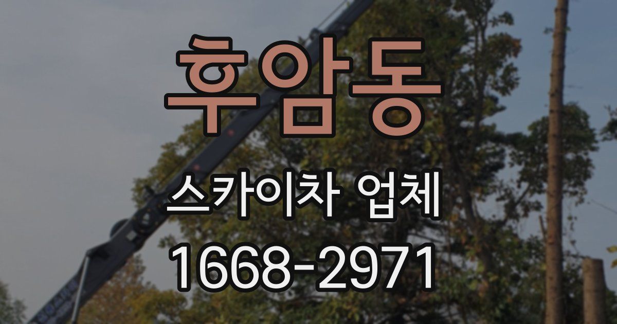 후암동 스카이차 업체