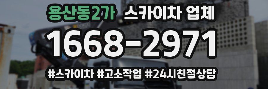 용산동2가 스카이차 업체