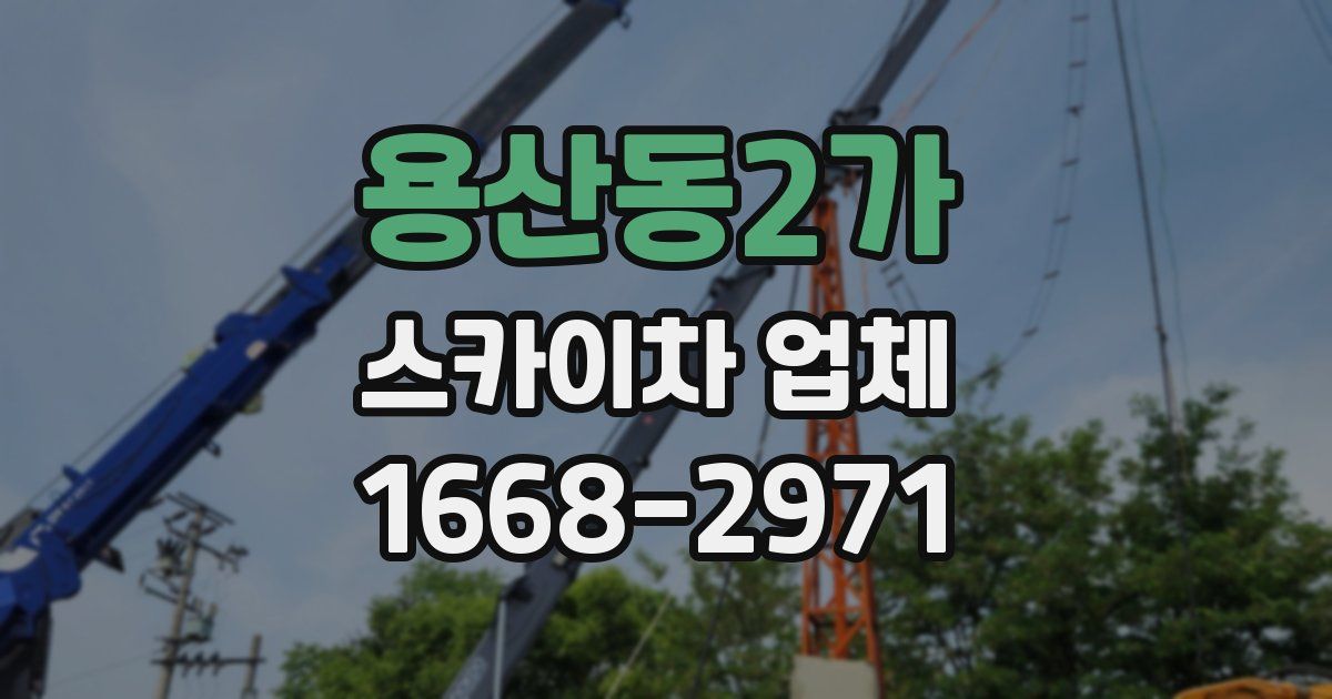 용산동2가 스카이차 업체