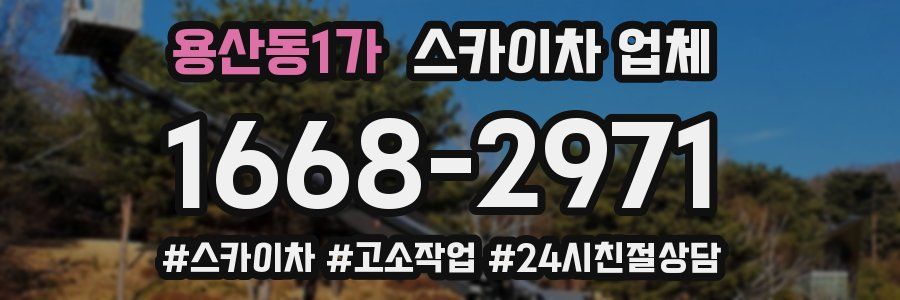 용산동1가 스카이차 업체