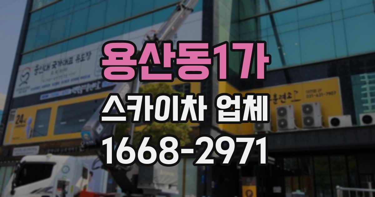 용산동1가 스카이차 업체