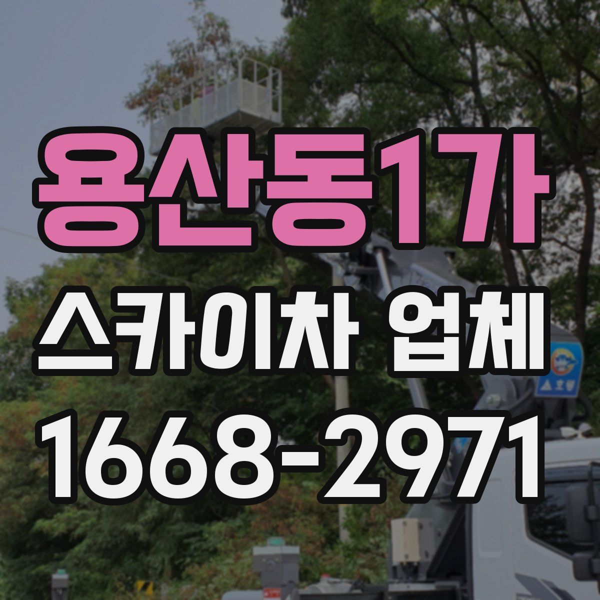 용산동1가 스카이차 업체