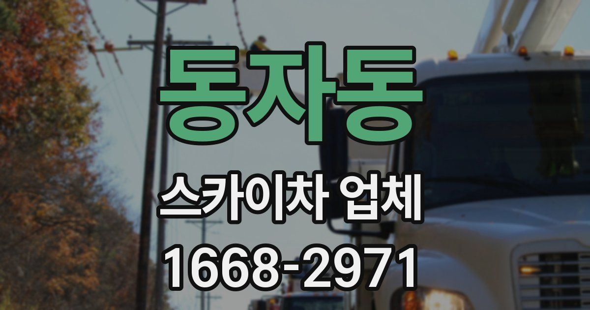 동자동 스카이차 업체