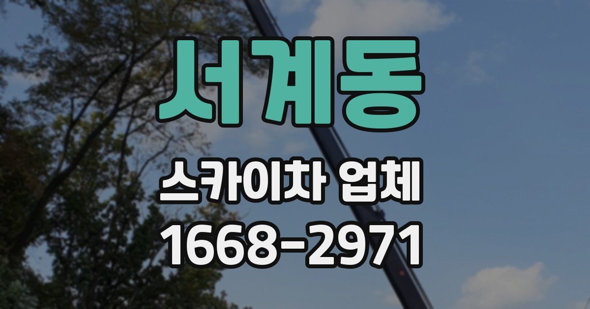 서계동 스카이차 업체
