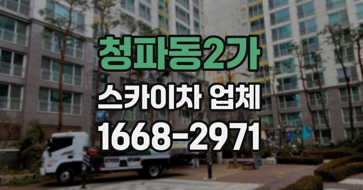 청파동2가 스카이차 업체