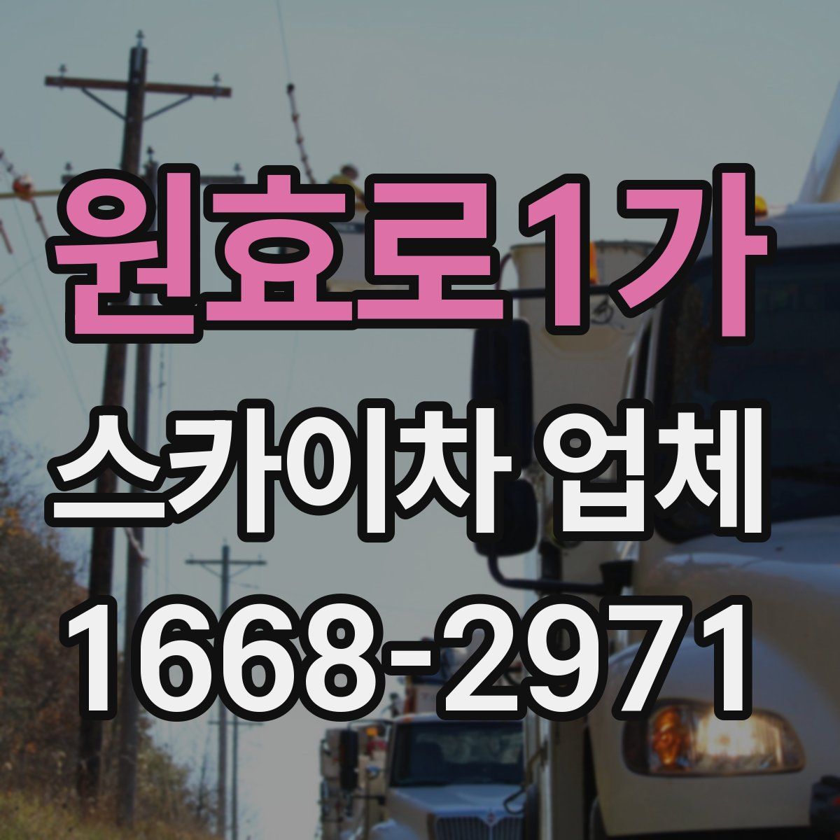 원효로1가 스카이차 업체