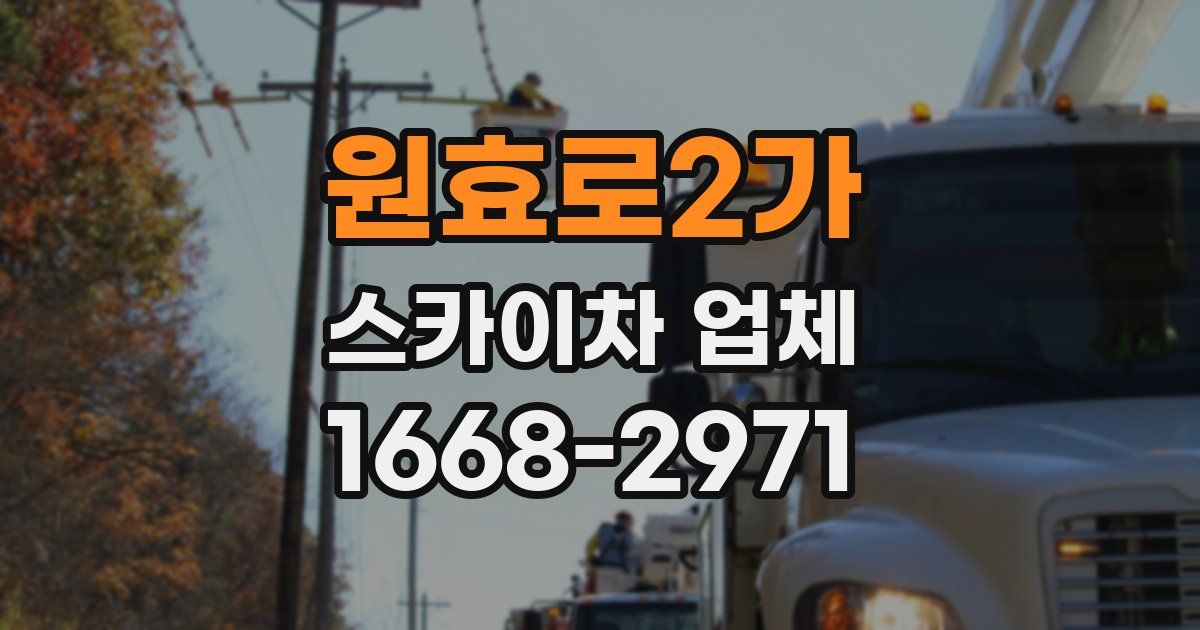 원효로2가 스카이차 업체