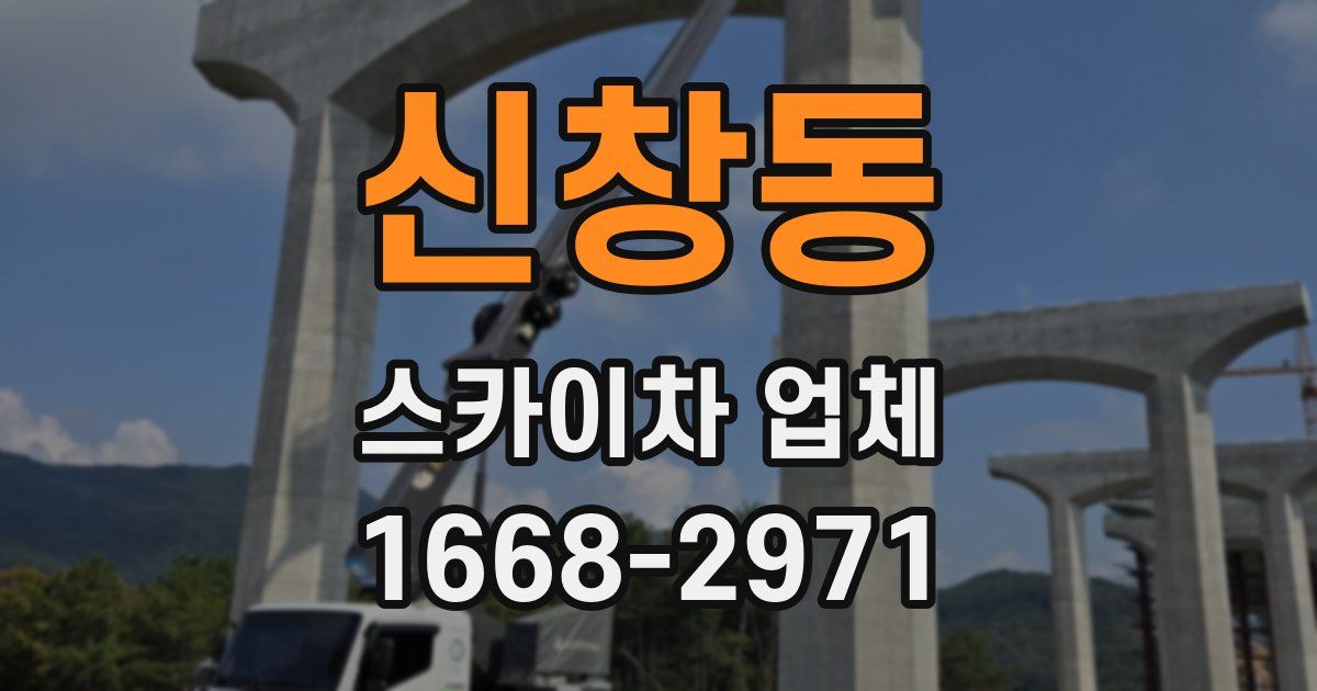 신창동 스카이차 업체