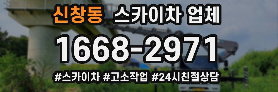 신창동 스카이차 업체