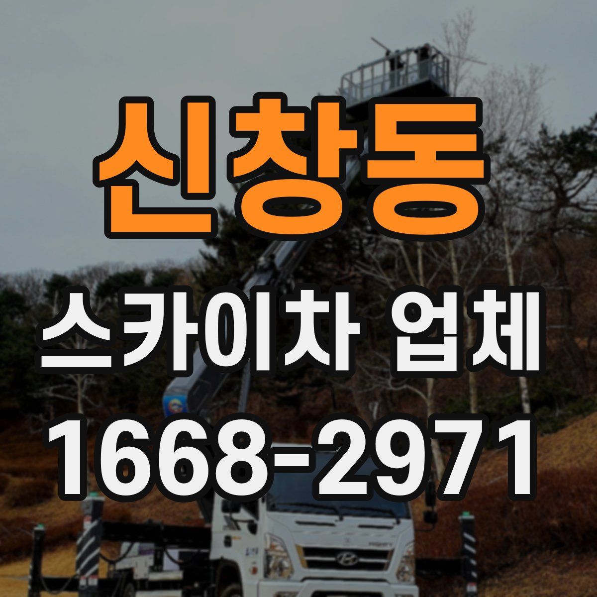 신창동 스카이차 업체