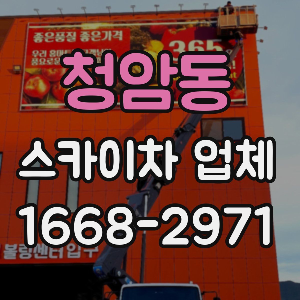 청암동 스카이차 업체