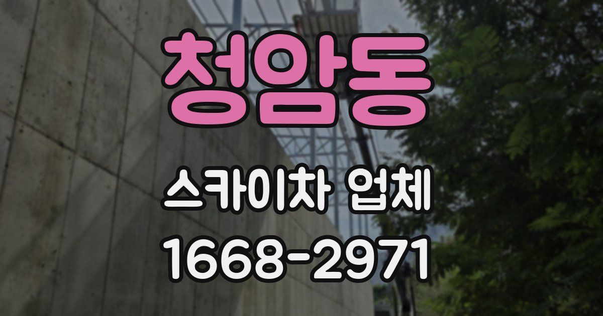 청암동 스카이차 업체