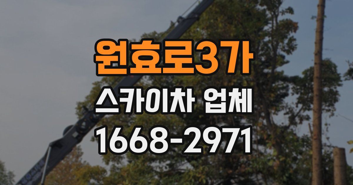 원효로3가 스카이차 업체