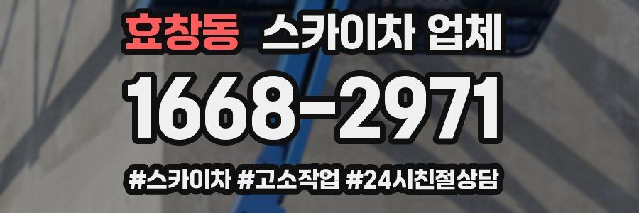 효창동 스카이차 업체