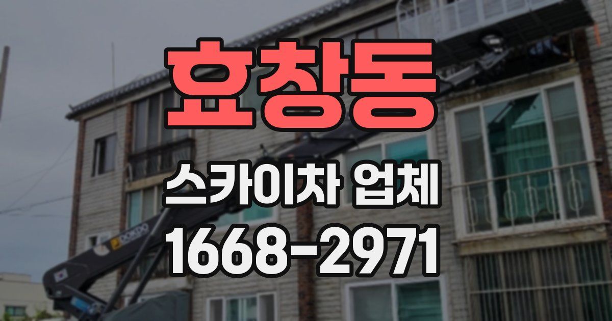 효창동 스카이차 업체