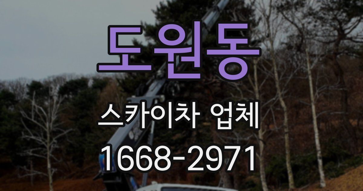 도원동 스카이차 업체