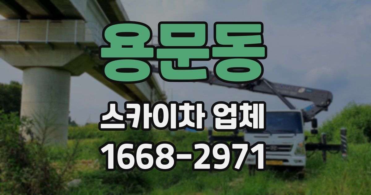 용문동 스카이차 업체