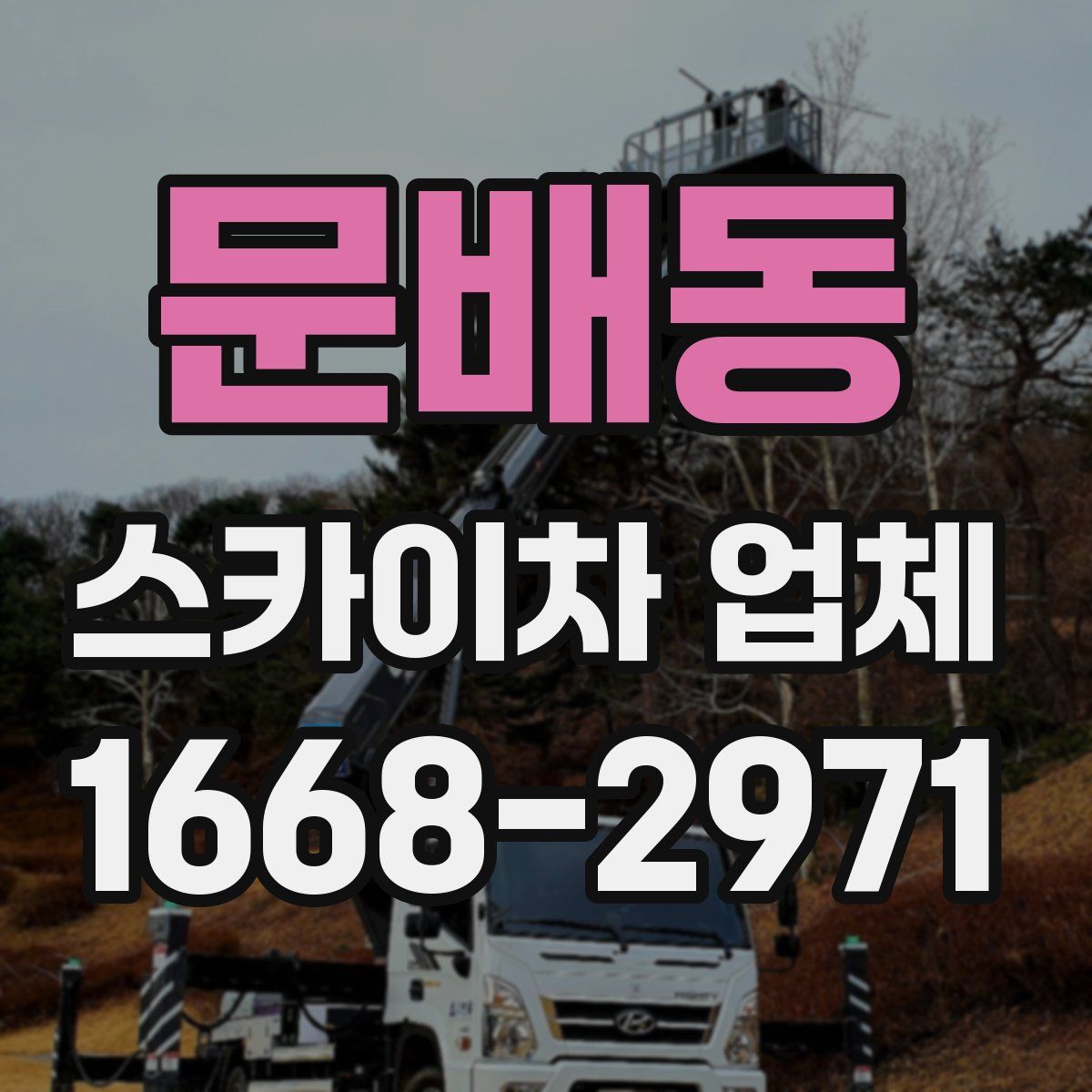 문배동 스카이차 업체