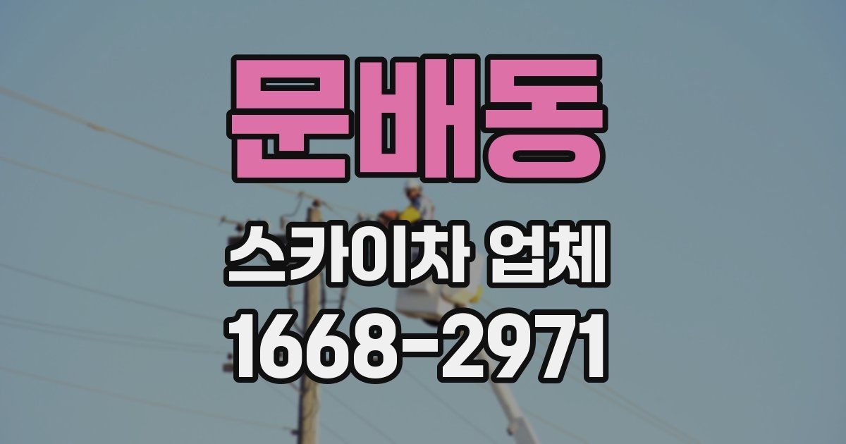 문배동 스카이차 업체